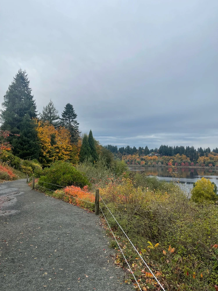 Image uploaded by Ricky