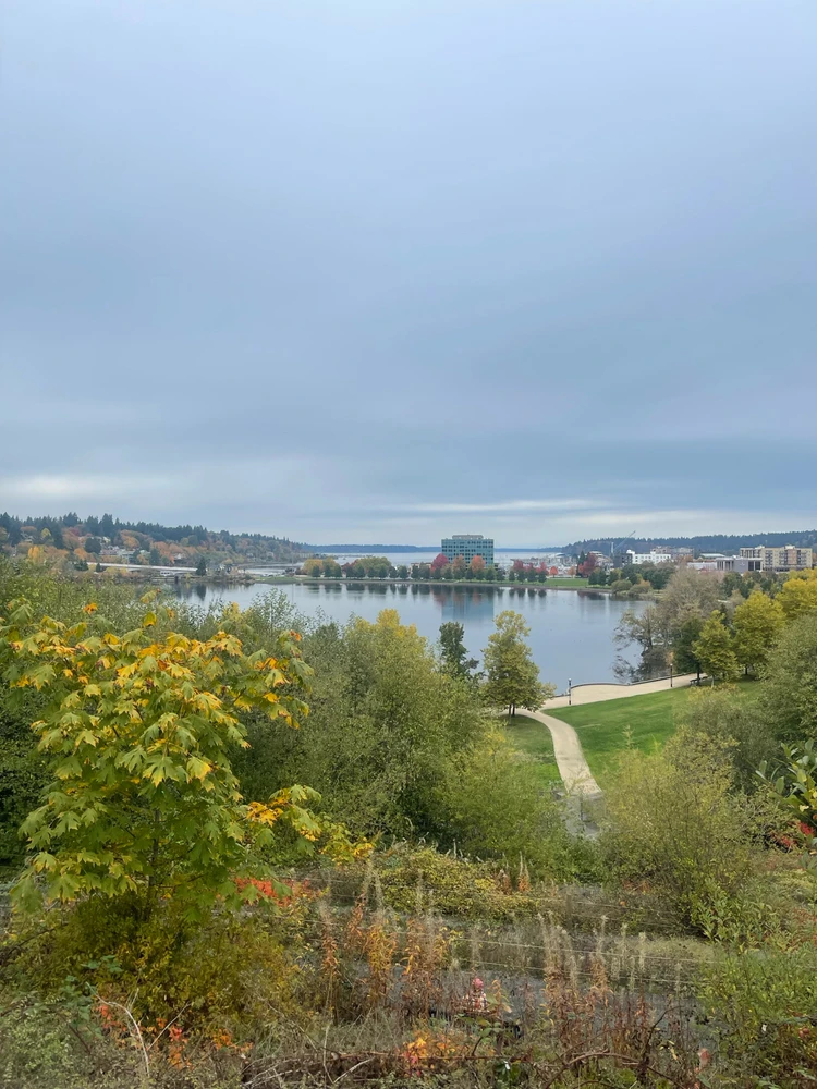 Image uploaded by Ricky