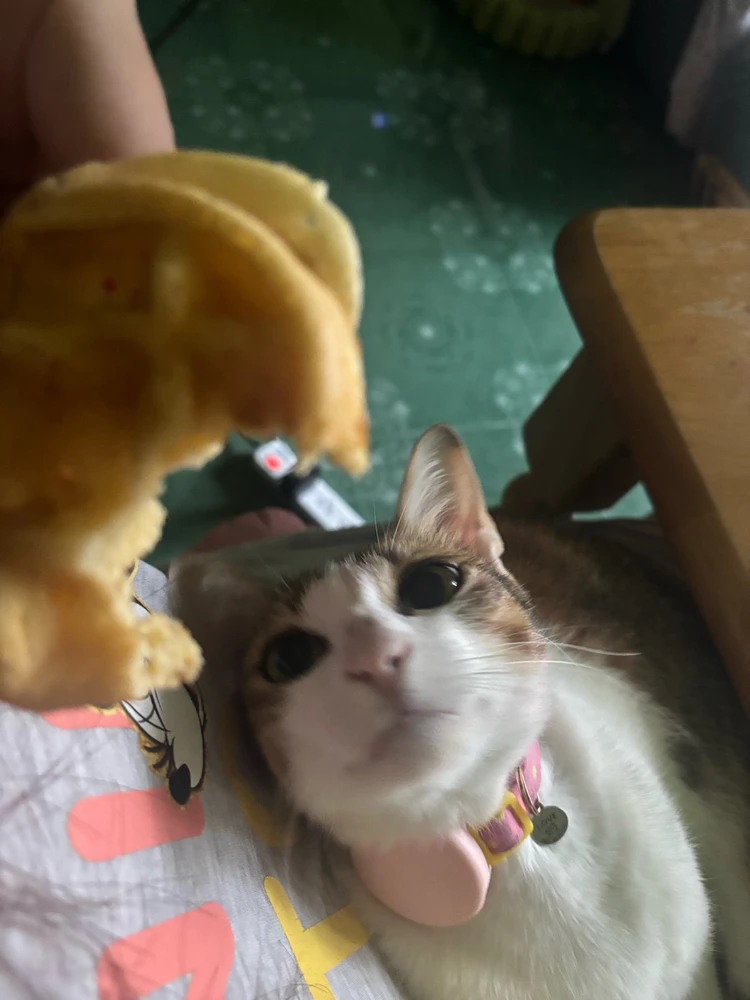 Pat♡ tərəfindən yüklənən şəkil