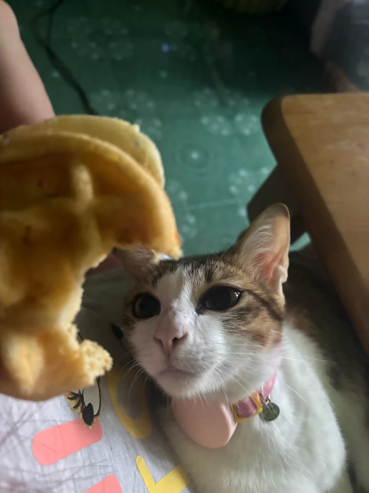 Pat♡ tərəfindən yüklənən şəkil