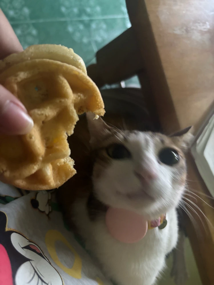 Pat♡ tərəfindən yüklənən şəkil