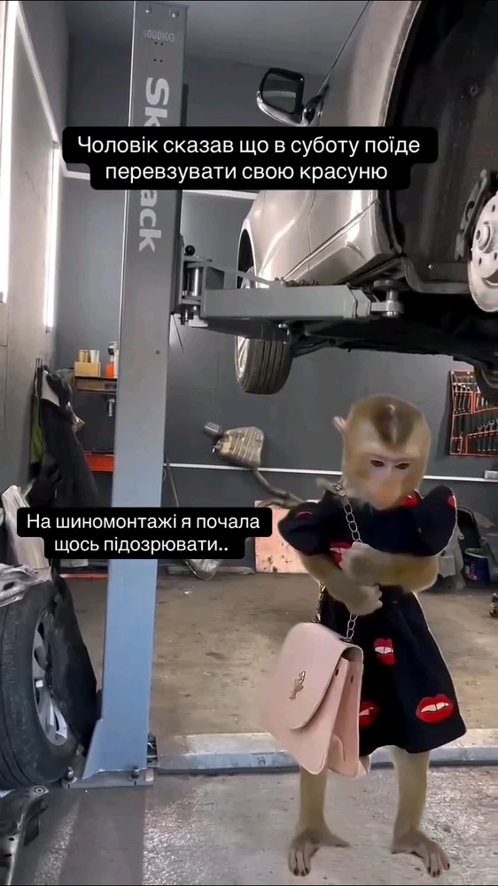 Гіфку завантажив Ярися