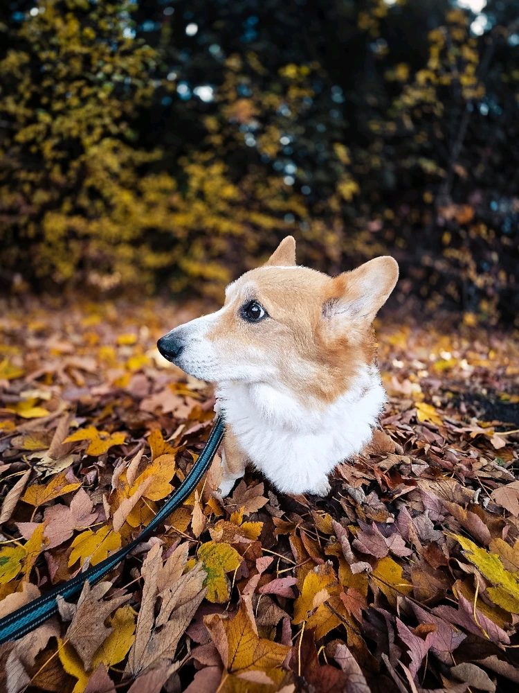 GIF įkėlė Deividas