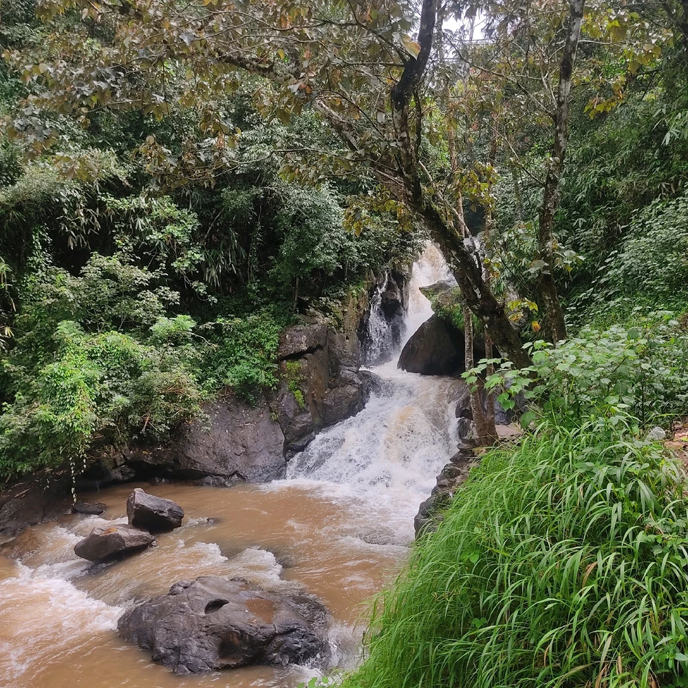 GIF diunggah dening Joel