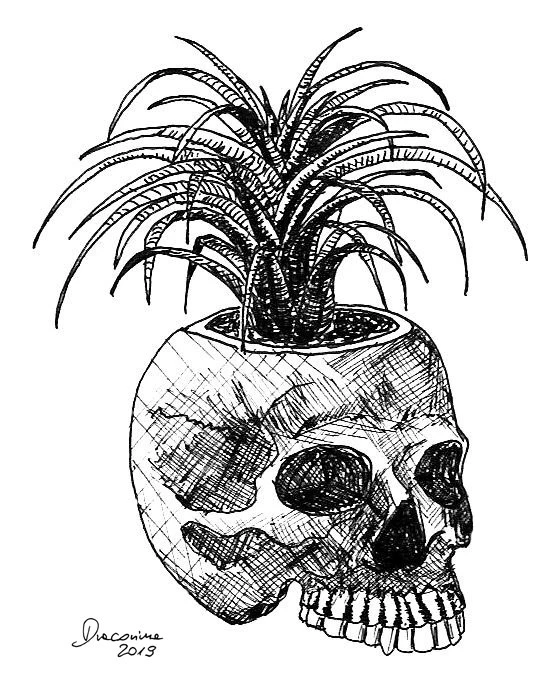 Zdjęcie dodane przez Czarna_Kosmitka