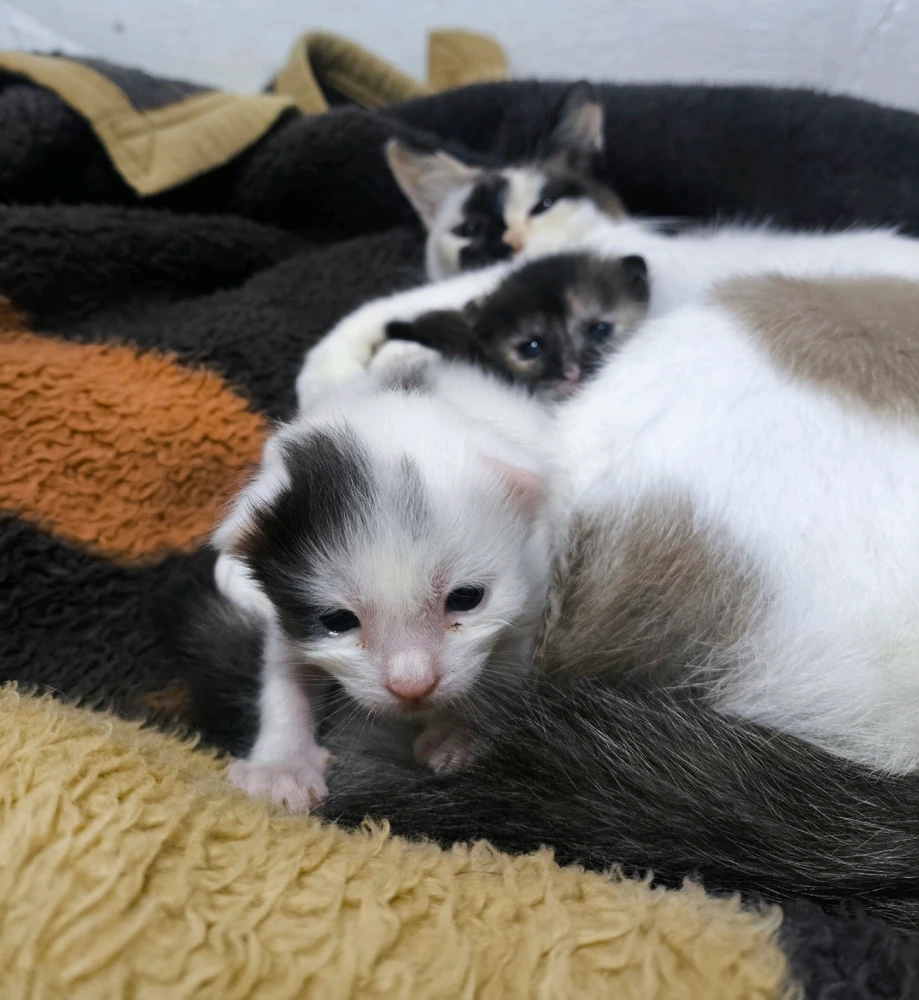 Imagem enviada por Nicole