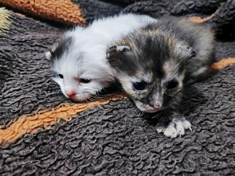 Imagem enviada por Nicole