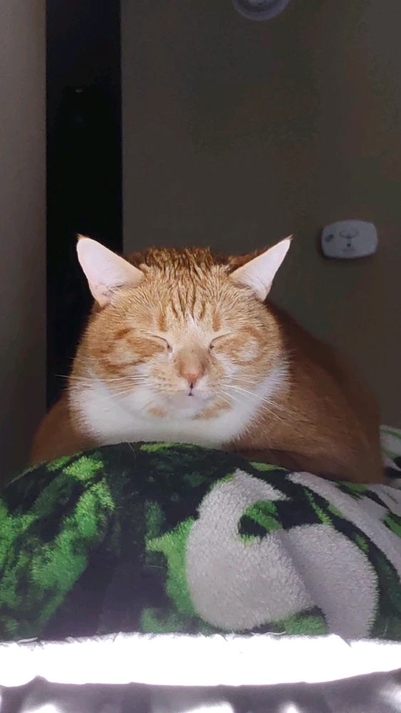 GIF gi-upload ni Dakota