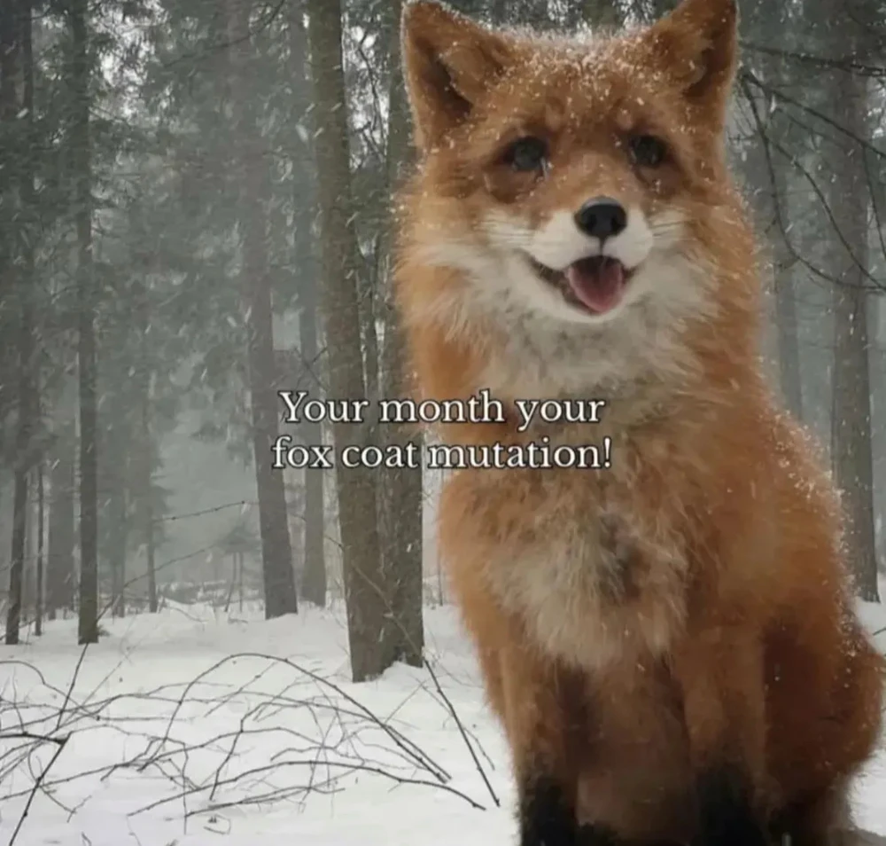 Image uploaded by 🌙✨ℳℯ𝓁𝒶𝓃𝒾𝓆𝓊ℯ✨🌙