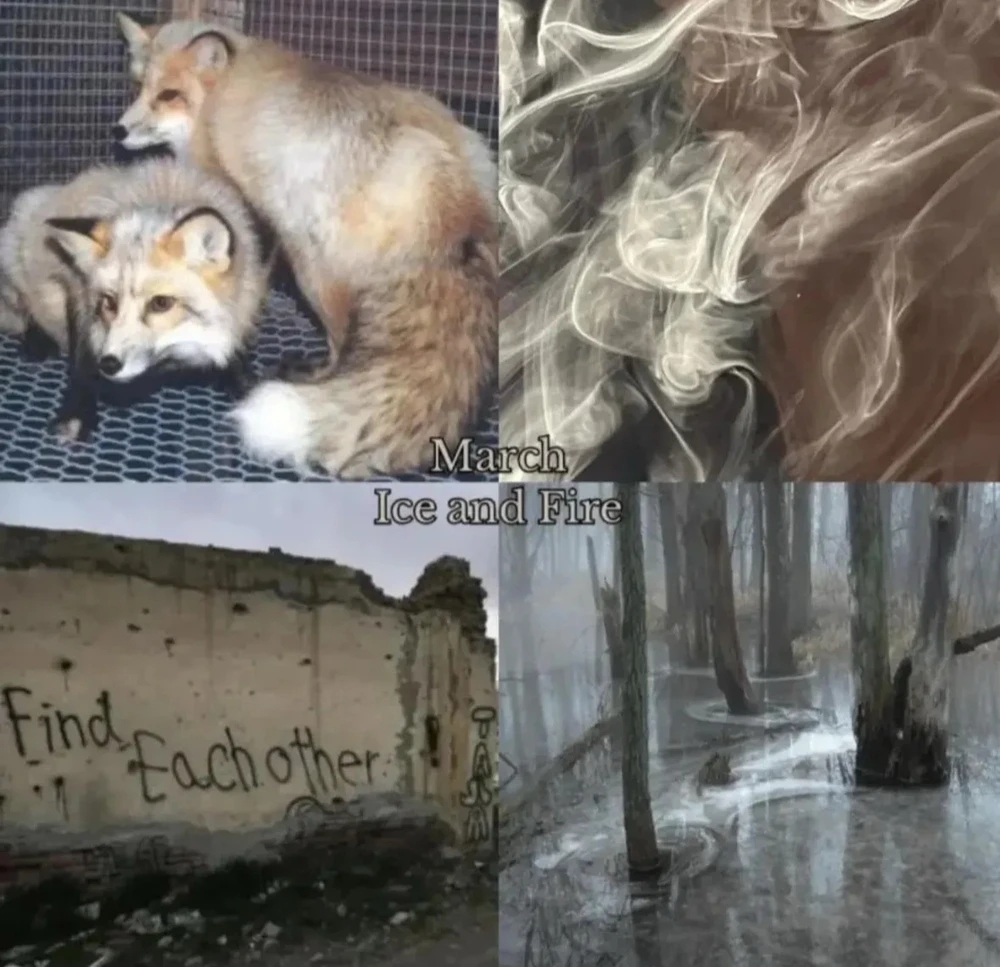 Image uploaded by 🌙✨ℳℯ𝓁𝒶𝓃𝒾𝓆𝓊ℯ✨🌙