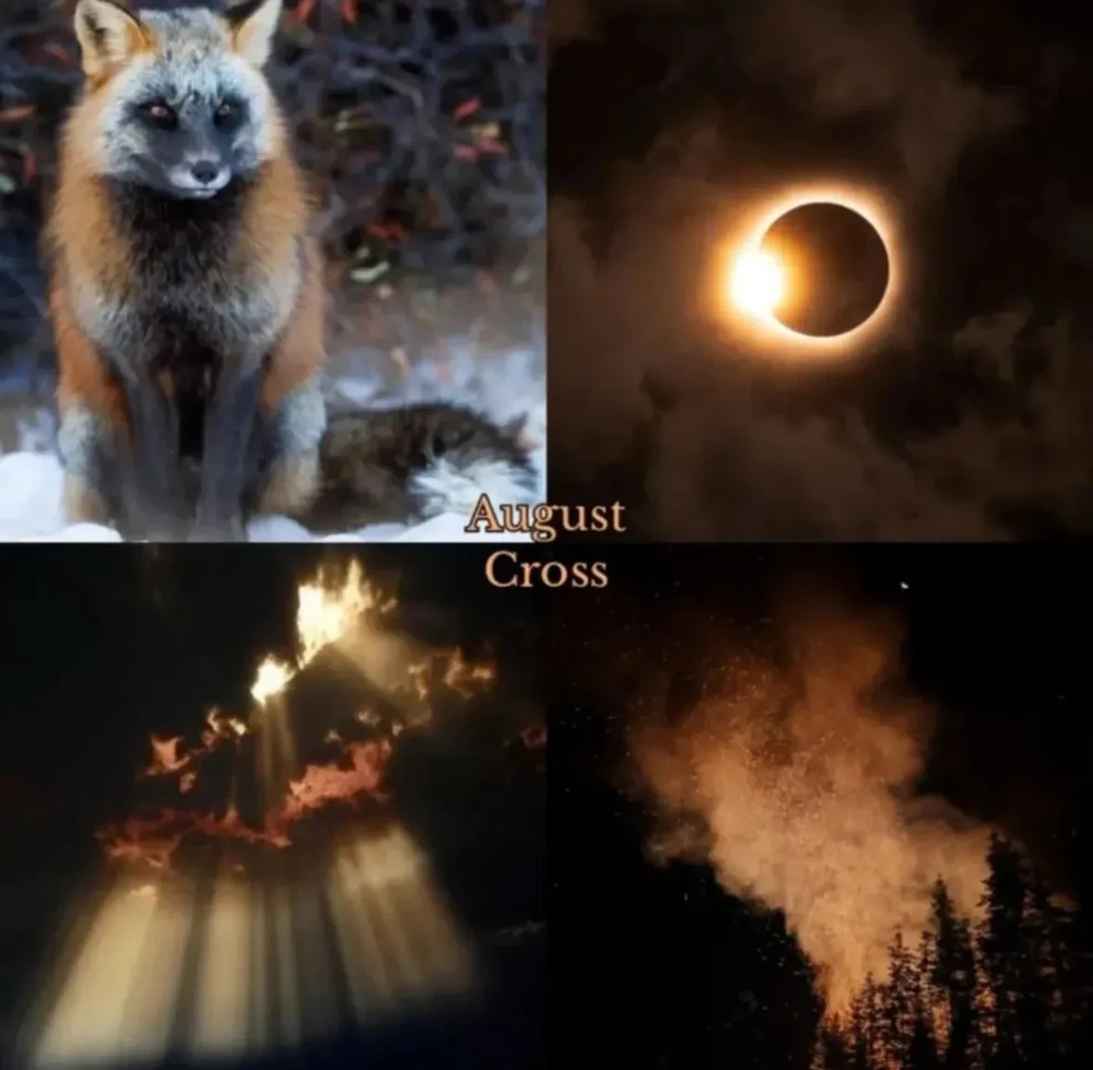 Image uploaded by 🌙✨ℳℯ𝓁𝒶𝓃𝒾𝓆𝓊ℯ✨🌙