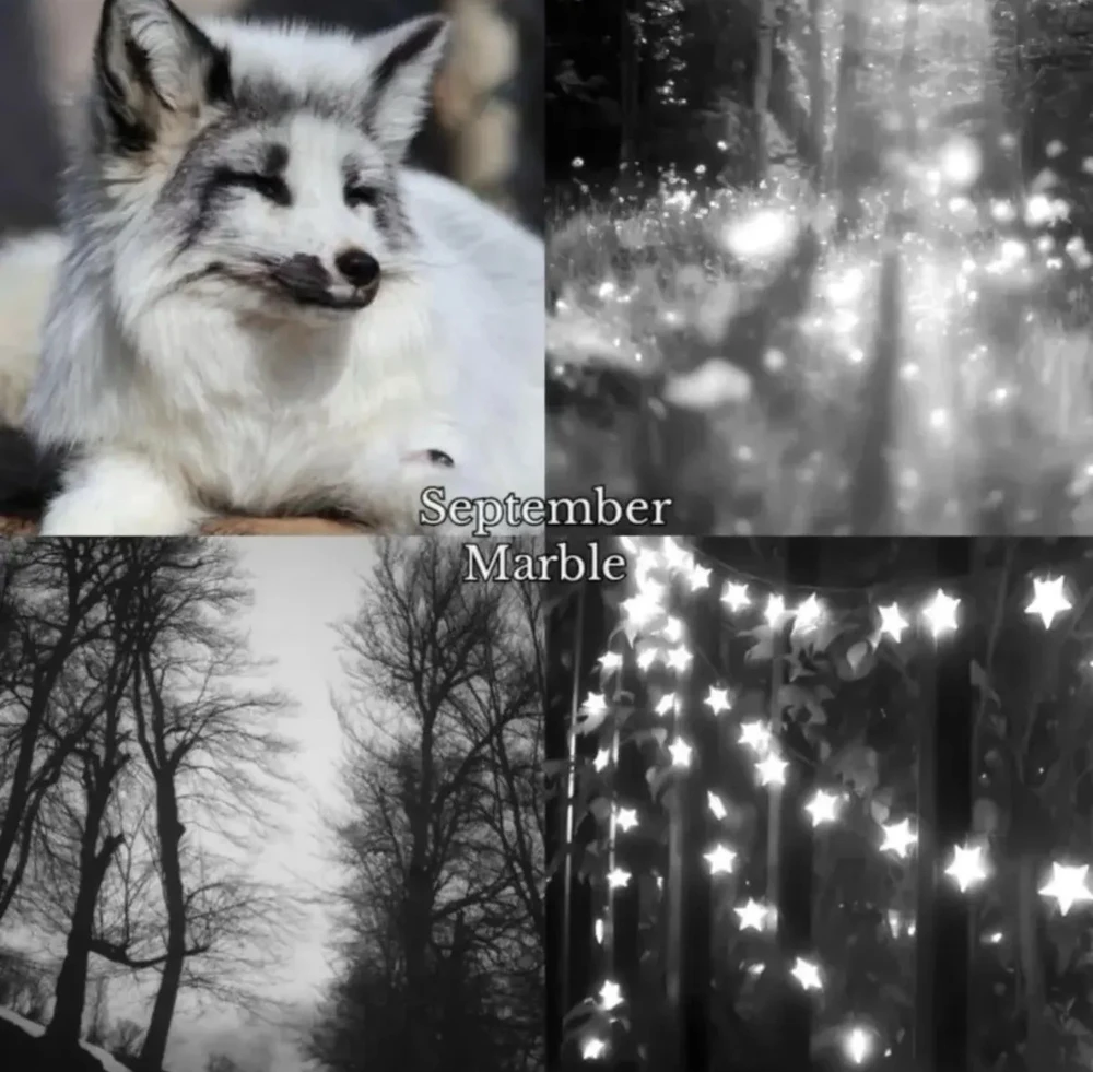 Image uploaded by 🌙✨ℳℯ𝓁𝒶𝓃𝒾𝓆𝓊ℯ✨🌙