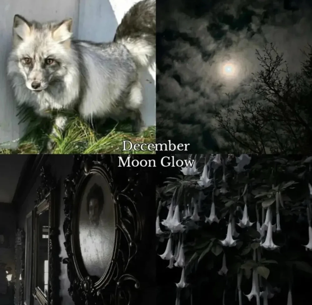 Image uploaded by 🌙✨ℳℯ𝓁𝒶𝓃𝒾𝓆𝓊ℯ✨🌙