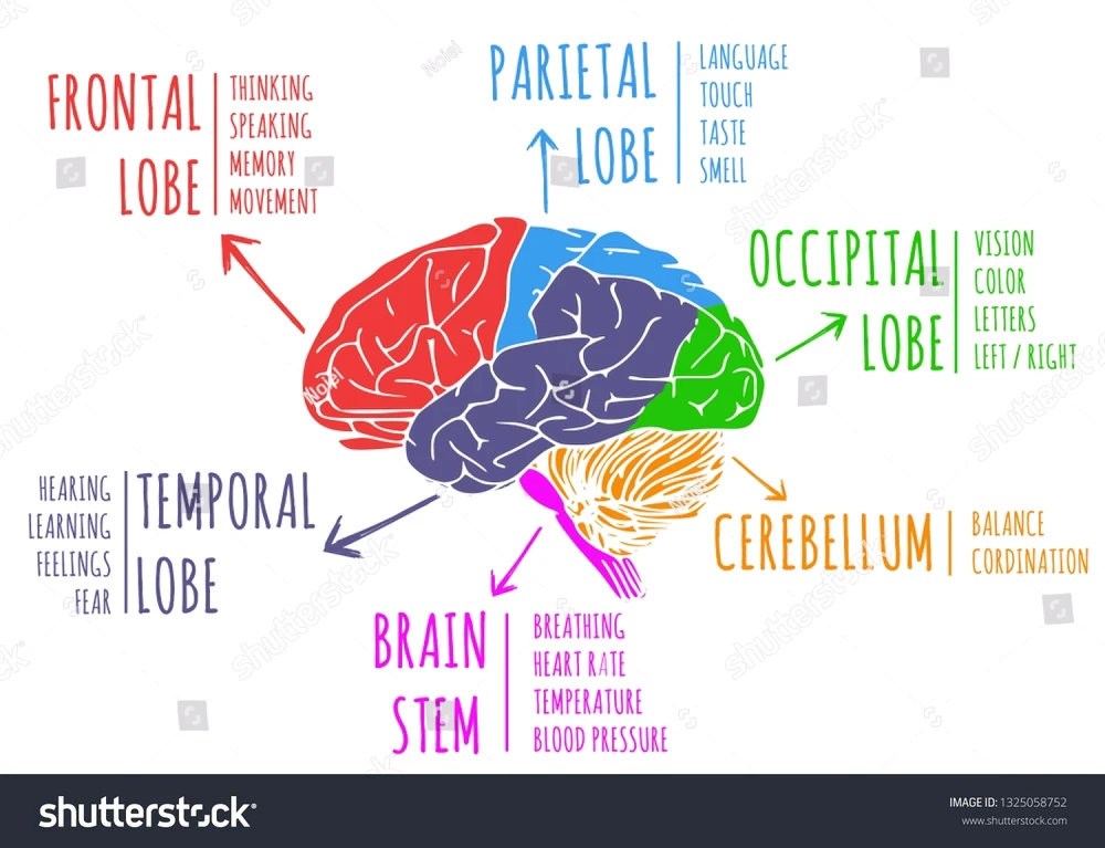 Image uploaded by Graysen