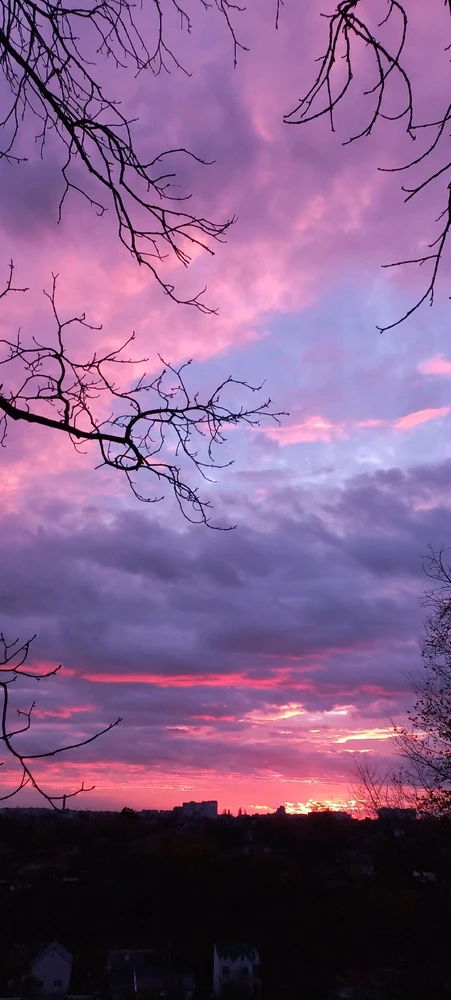 Image uploaded by Tata