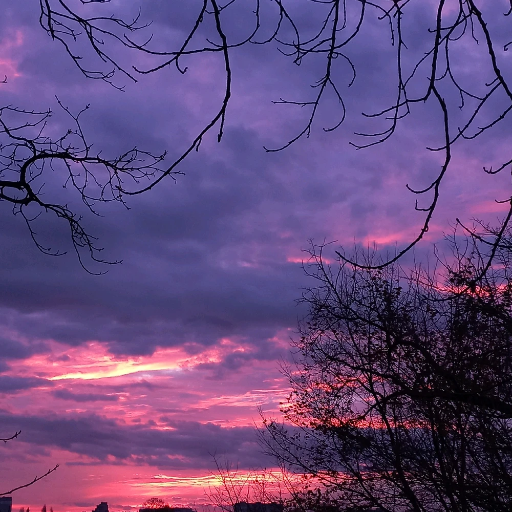 Image uploaded by Tata