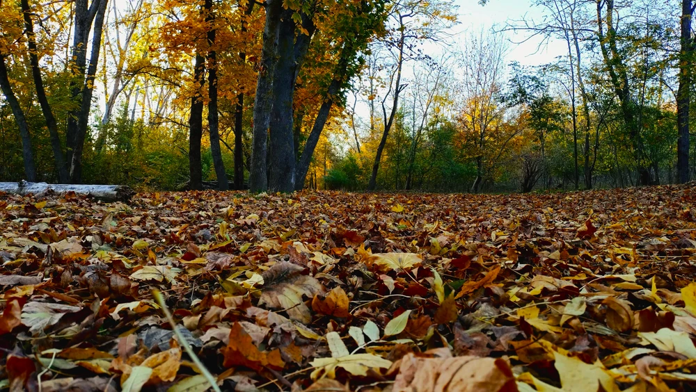 Image uploaded by Gabriel