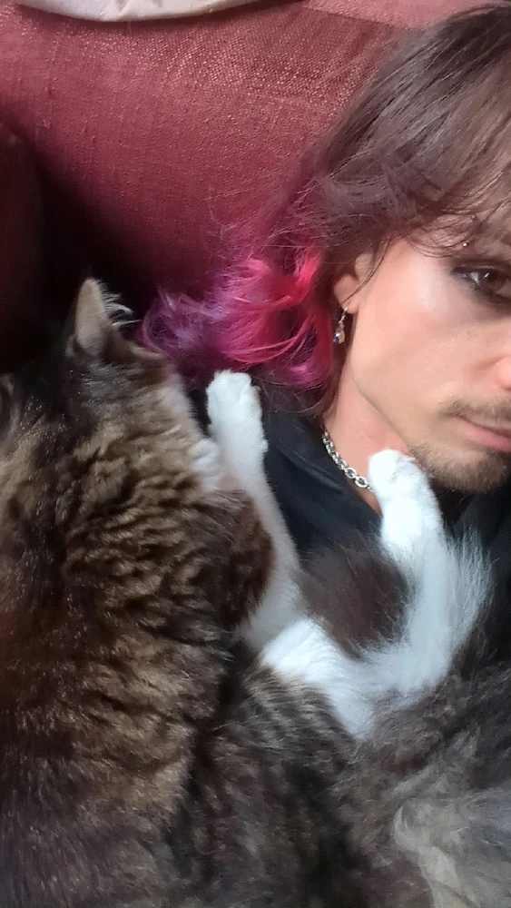 GIF ajouté par Adrien