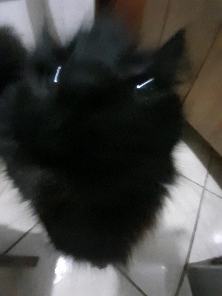 Imagem enviada por Carla