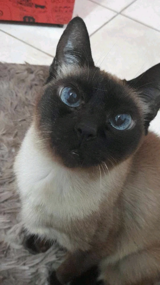 Imagem enviada por Carla