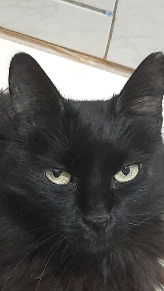 Imagem enviada por Carla