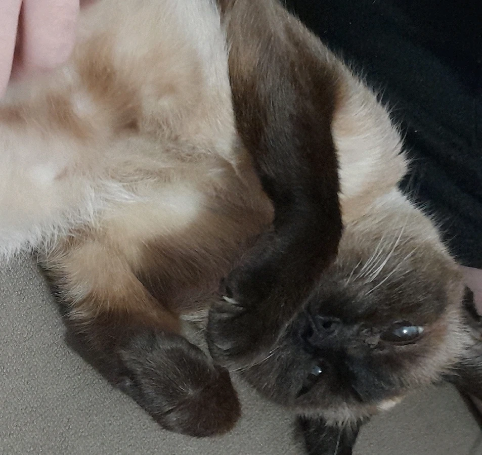 Imagem enviada por Carla