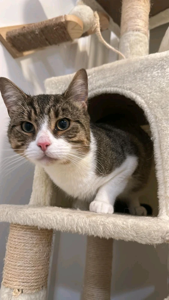 Image uploaded by Umar R