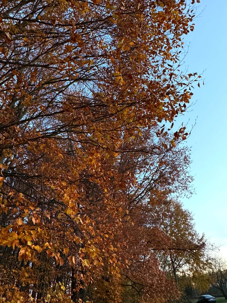 Który kolor najlepiej oddaje Twój nastrój dziś?