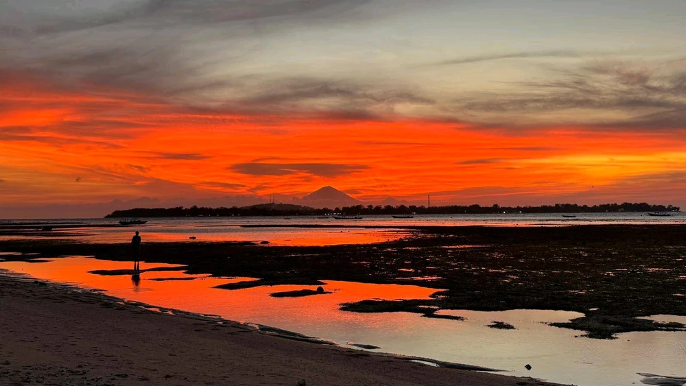 Dear God
Dear God,
Help me to find strength for today and hope for tomorrow. As I navigate the challenges before me, fill me with courage and perseverance, reminding me that Your love is steadfast and Your presence never fades. “But those who hope in the Lord will renew their strength.” (Isaiah 40: