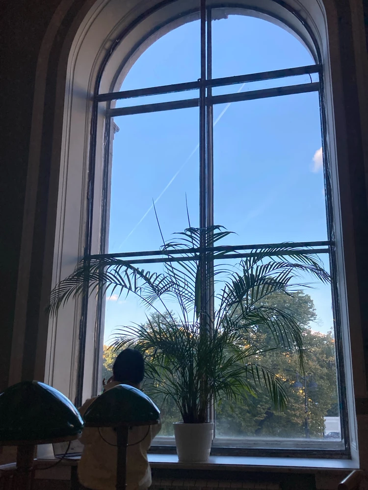 Фото загрузил Татьяна