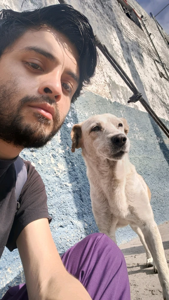 Un nuevo amigo canino