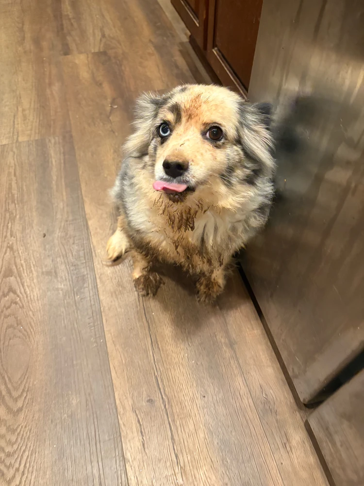 GIF uploaded by Nick