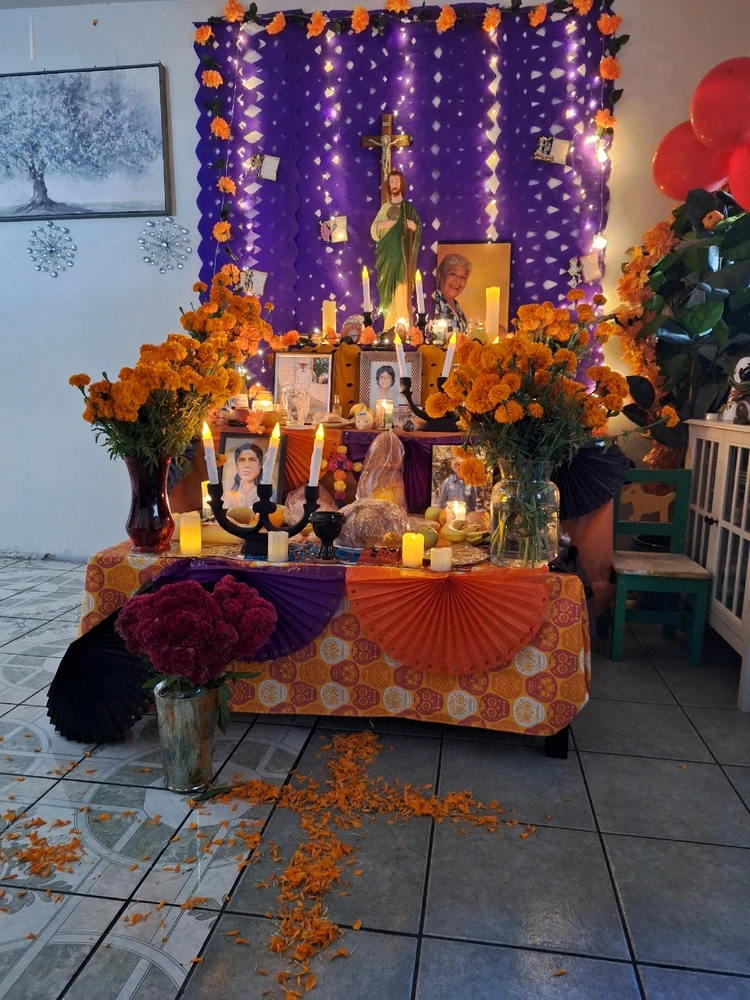 Image uploaded by Daisy