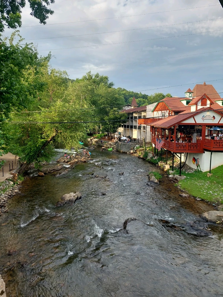 GIF uploaded by Jonathan