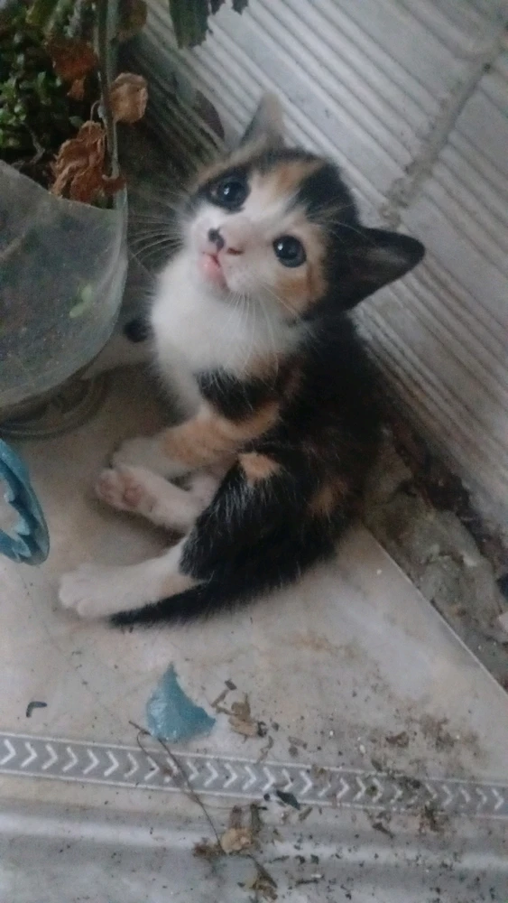 GIF enviado por Clara