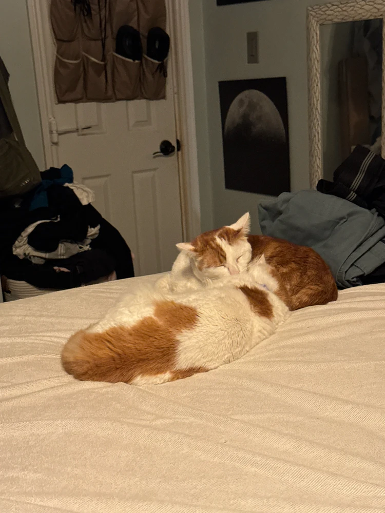 GIF uploaded by Kurtus