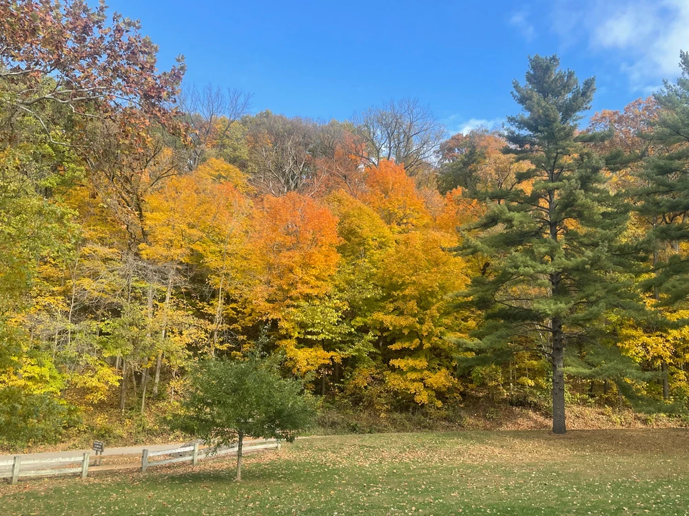Gi-upload ni Robbie ang hulagway