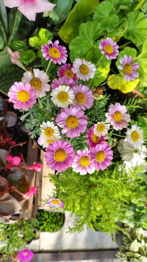 GIF subido por Aldana