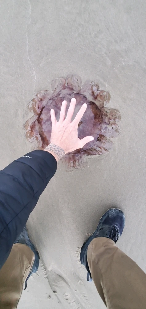 Image uploaded by Conlan