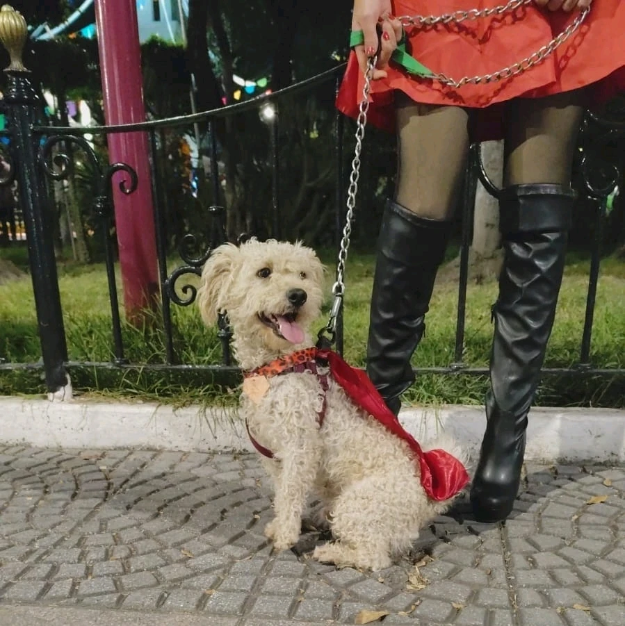 Imagen subida por Ale