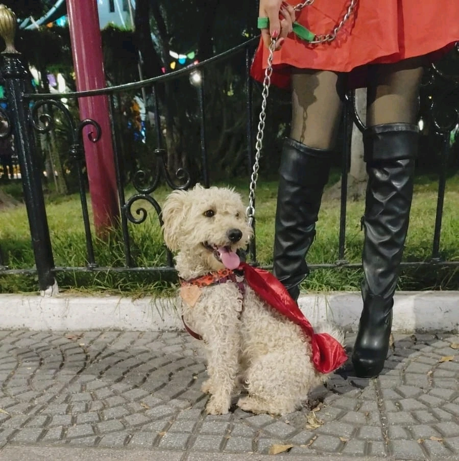 Imagen subida por Ale