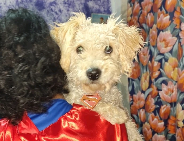 Imagen subida por Ale