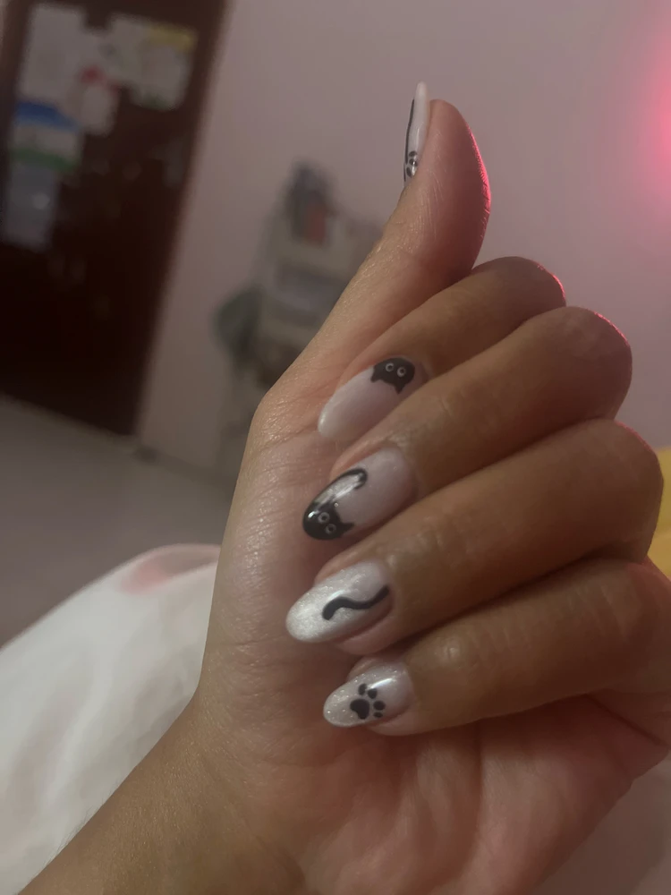 Black cats are not a bad luck