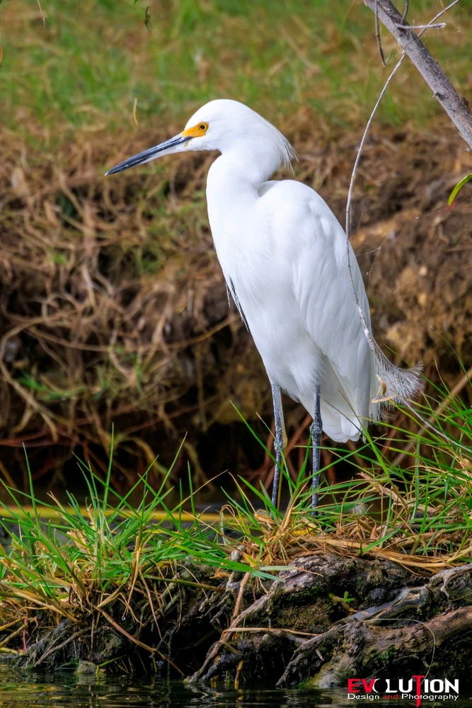 Image uploaded by Richard