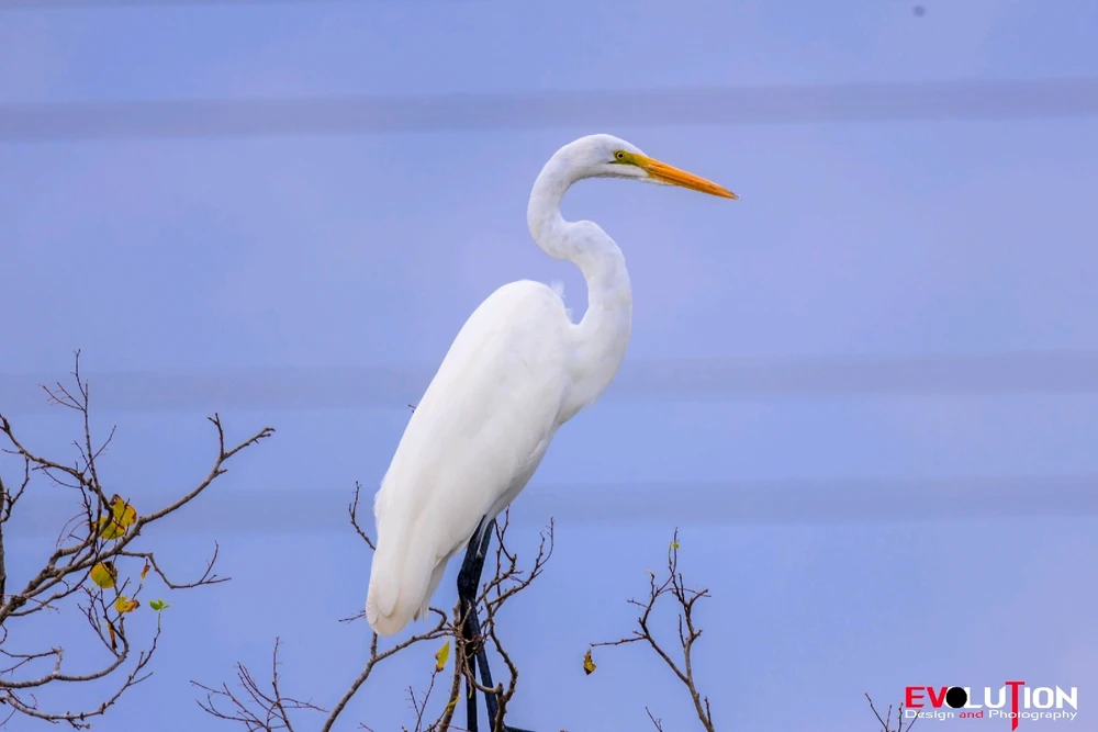 Image uploaded by Richard