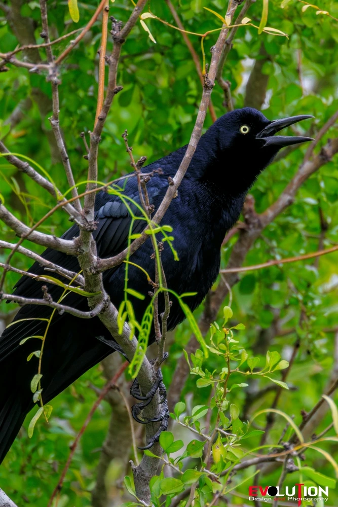 Image uploaded by Richard