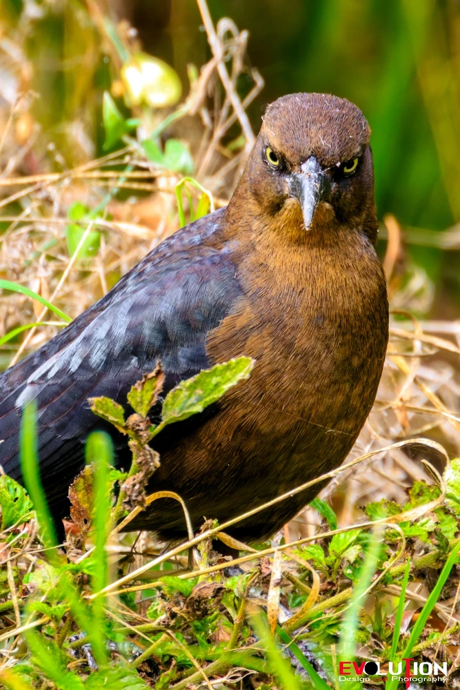 Image uploaded by Richard