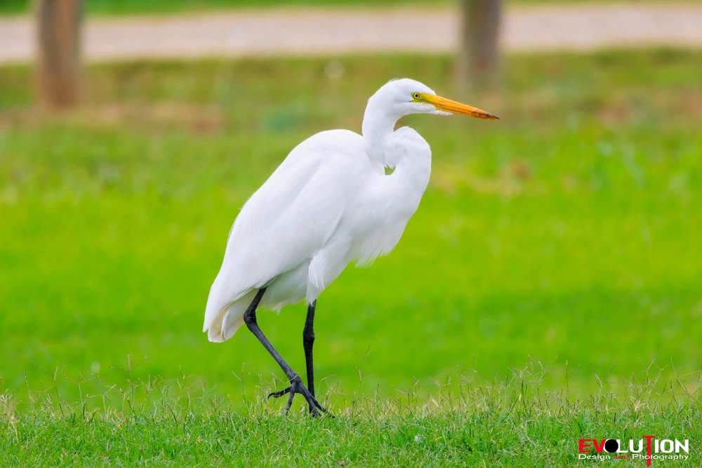 Image uploaded by Richard