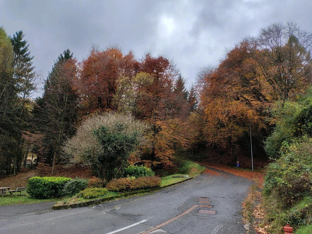 Immagine caricata da Marco