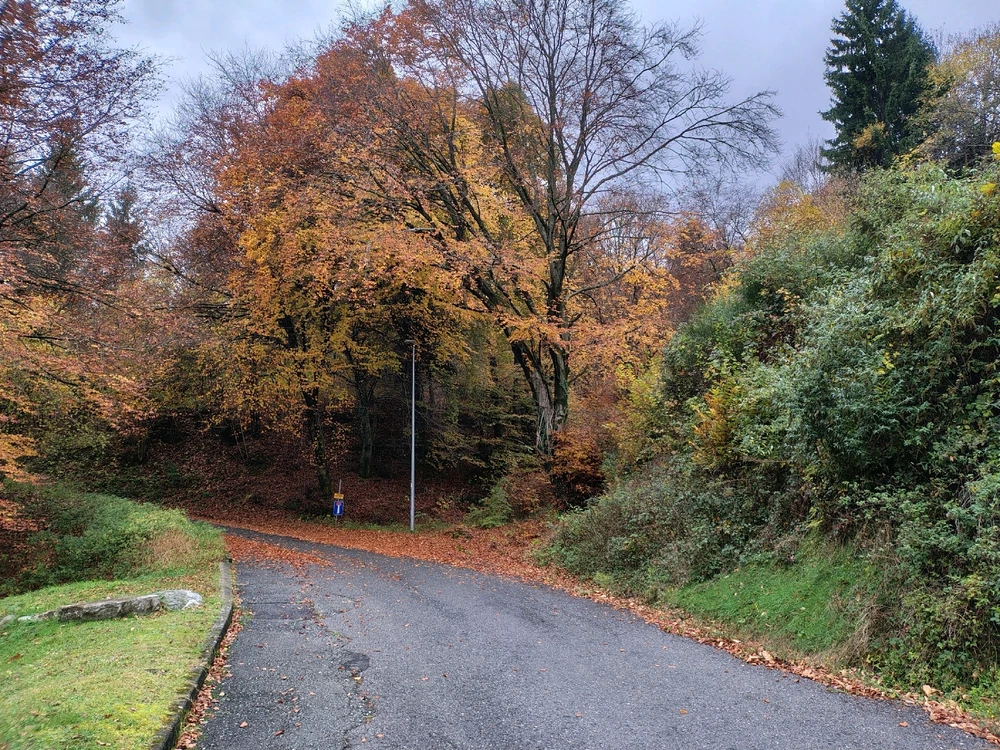 Immagine caricata da Marco